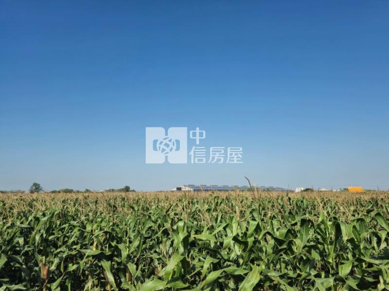 後壁區白沙屯地型方正肥沃農地房屋室內格局與周邊環境