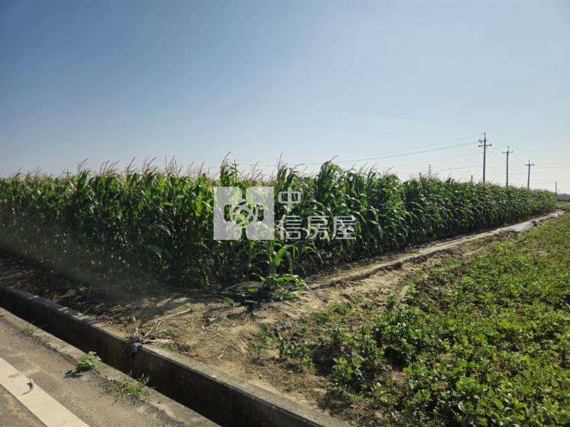 後壁區白沙屯地型方正肥沃農地房屋室內格局與周邊環境