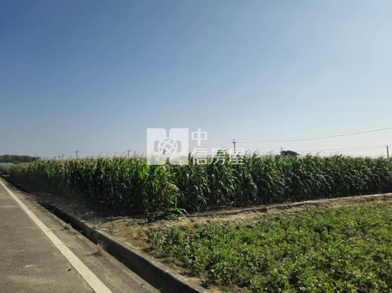 後壁區白沙屯地型方正肥沃農地房屋室內格局與周邊環境