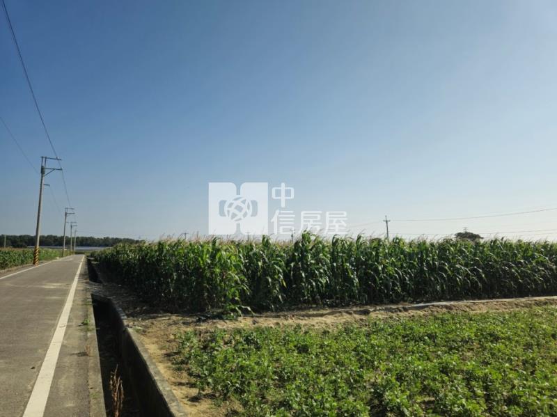 後壁區白沙屯地型方正肥沃農地房屋室內格局與周邊環境