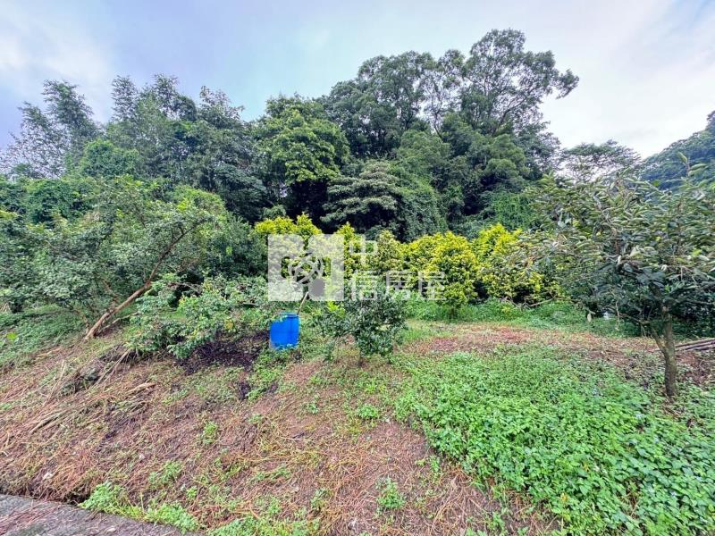 苗栗公館協雲宮旁農林+建地房屋室內格局與周邊環境