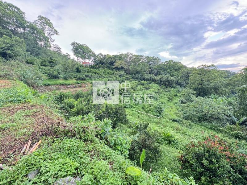 苗栗公館協雲宮旁農林+建地房屋室內格局與周邊環境