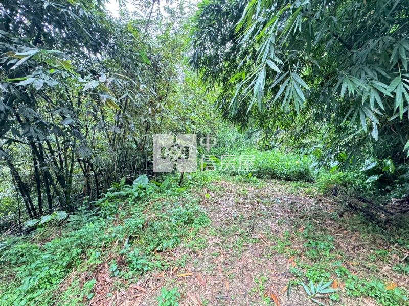 苗栗公館協雲宮旁農林+建地房屋室內格局與周邊環境