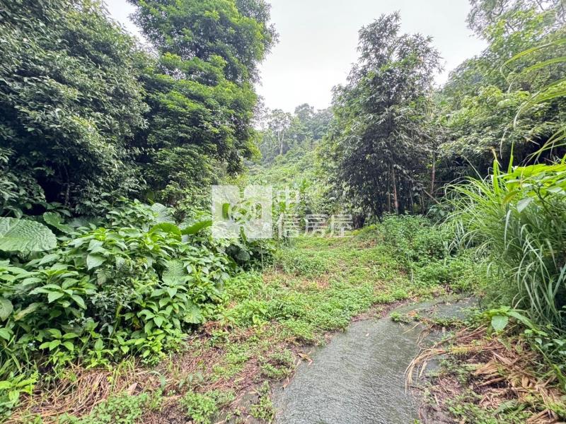 苗栗公館協雲宮旁農林+建地房屋室內格局與周邊環境