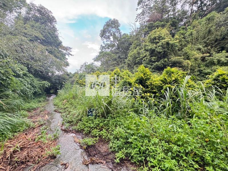 苗栗公館協雲宮旁農林+建地房屋室內格局與周邊環境