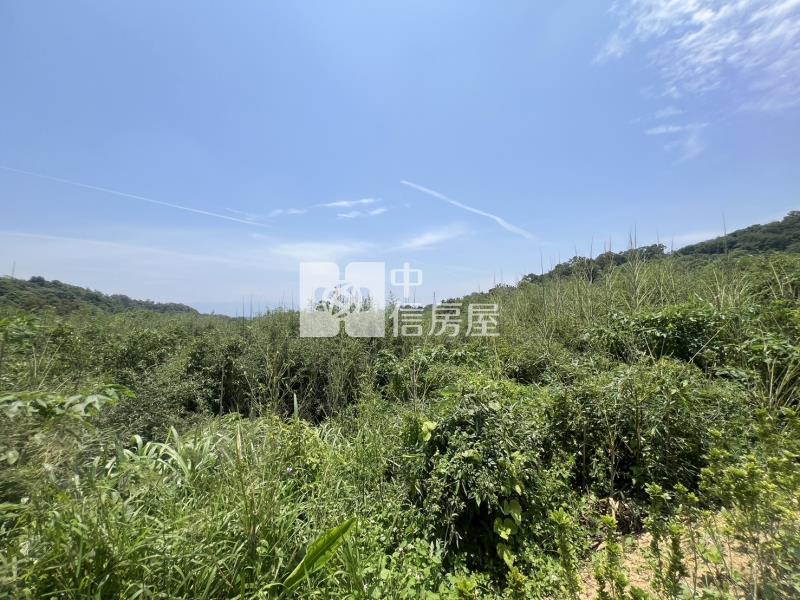 長安球場持分農+林1153坪房屋室內格局與周邊環境