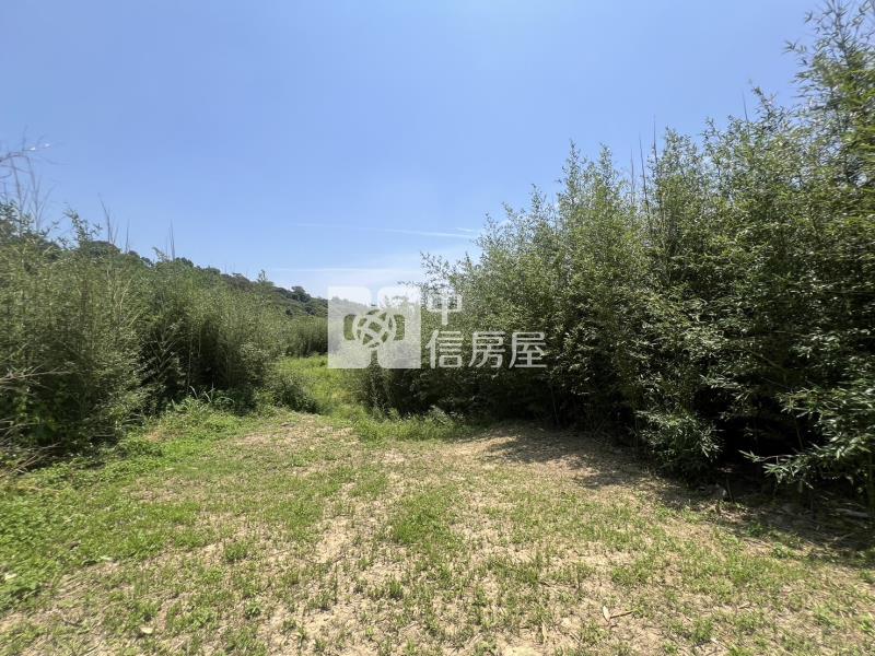 長安球場持分農+林1153坪房屋室內格局與周邊環境