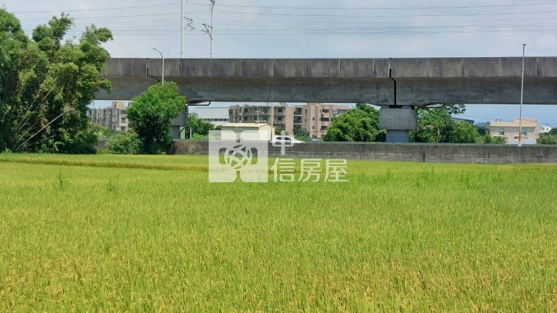 【安家】A19青埔度假風美農地房屋室內格局與周邊環境
