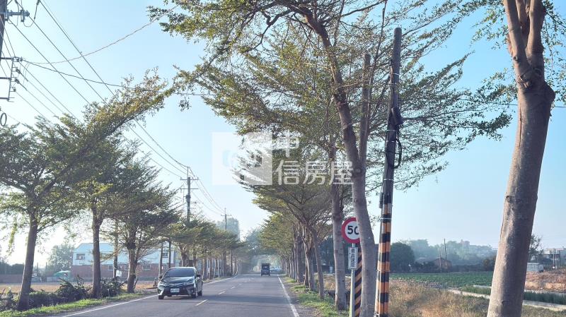 新港雙面路農地 ★影音空拍在中信嘉義玉山店房屋室內格局與周邊環境