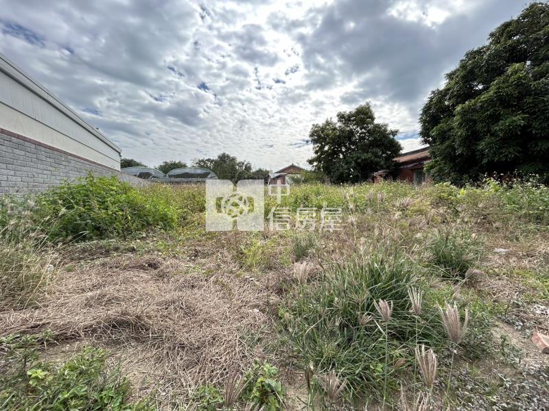 鹿草大建地(二)房屋室內格局與周邊環境