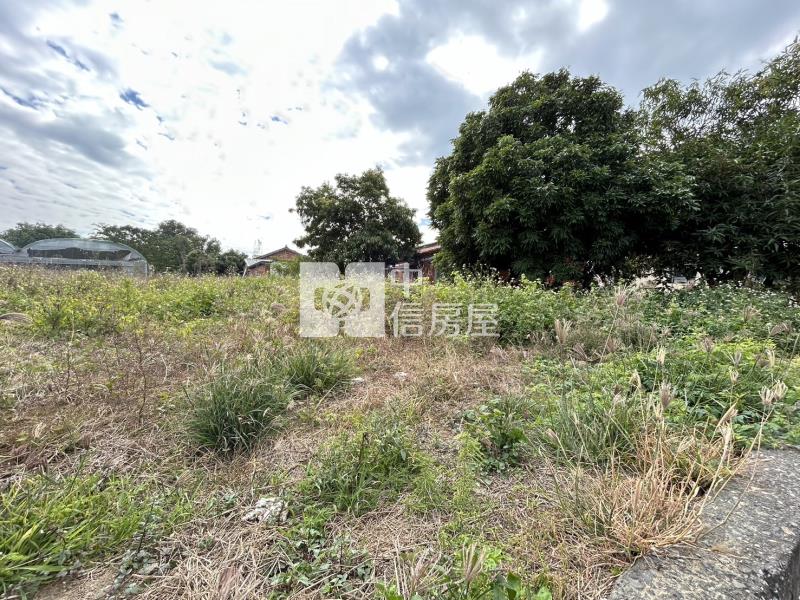 鹿草大建地(二)房屋室內格局與周邊環境