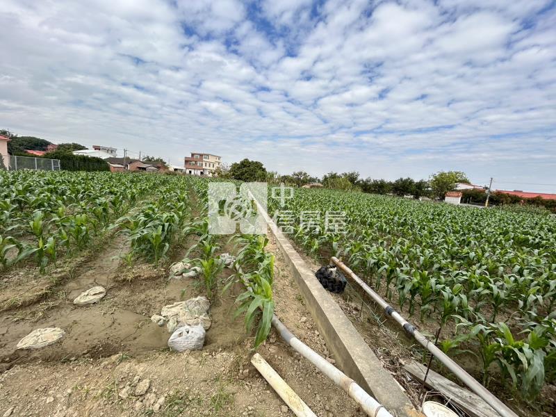 鹿草大建地(二)房屋室內格局與周邊環境