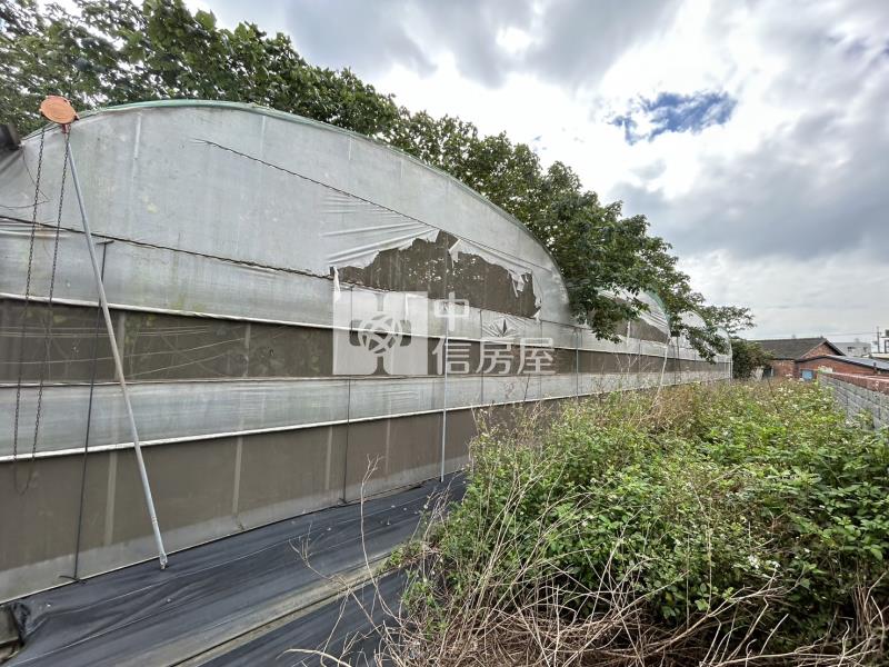 鹿草大建地(一)房屋室內格局與周邊環境