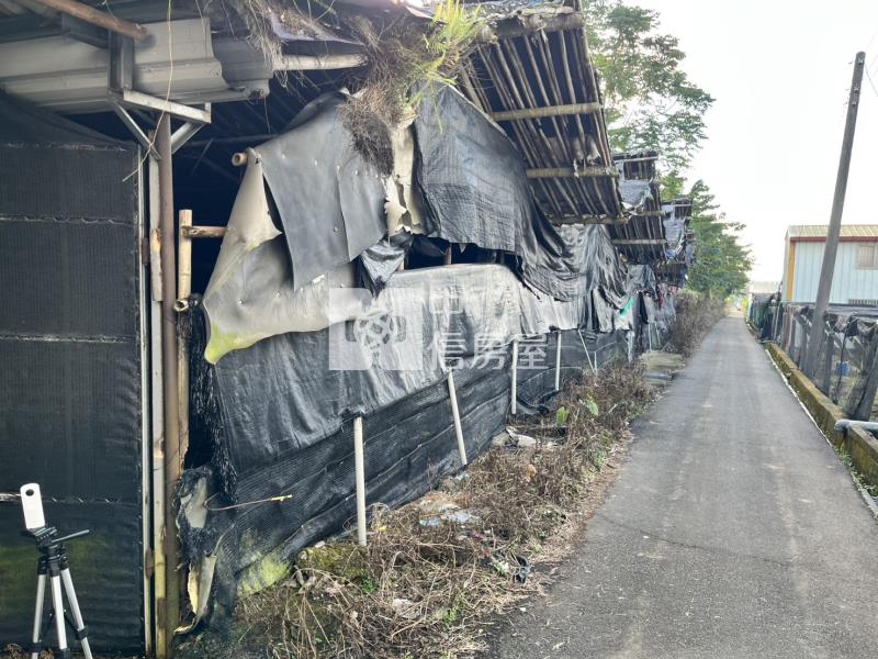 新社區華豐街花海旁菇寮房屋室內格局與周邊環境