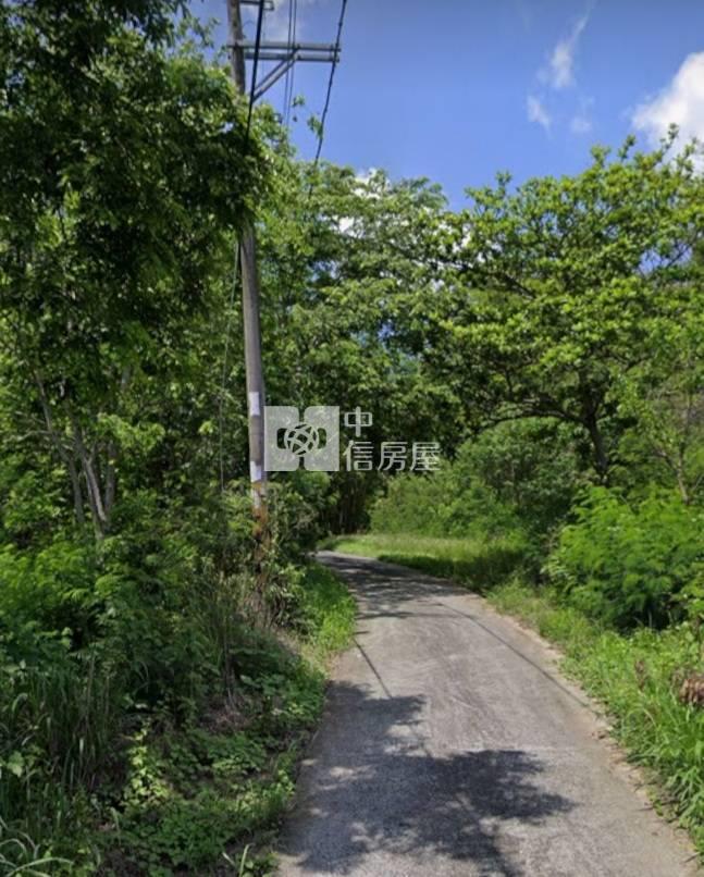 澄山樹葡萄果園5964農地房屋室內格局與周邊環境