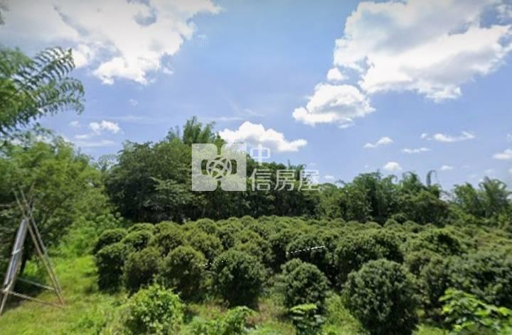 澄山樹葡萄果園5964農地房屋室內格局與周邊環境