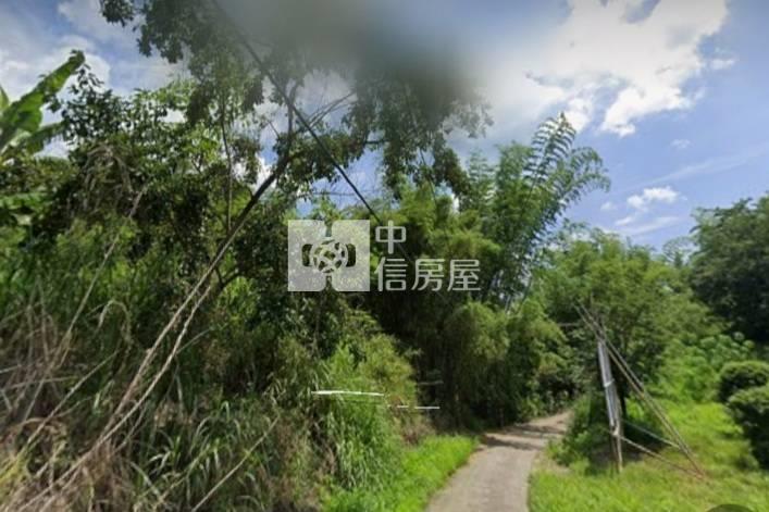 澄山樹葡萄果園5964農地房屋室內格局與周邊環境