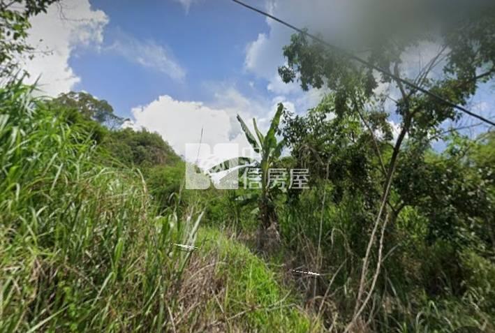澄山樹葡萄果園5964農地房屋室內格局與周邊環境