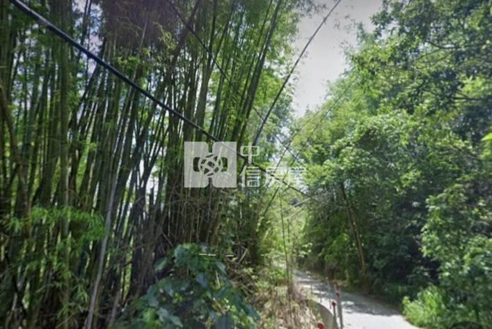 澄山樹葡萄果園5964農地房屋室內格局與周邊環境