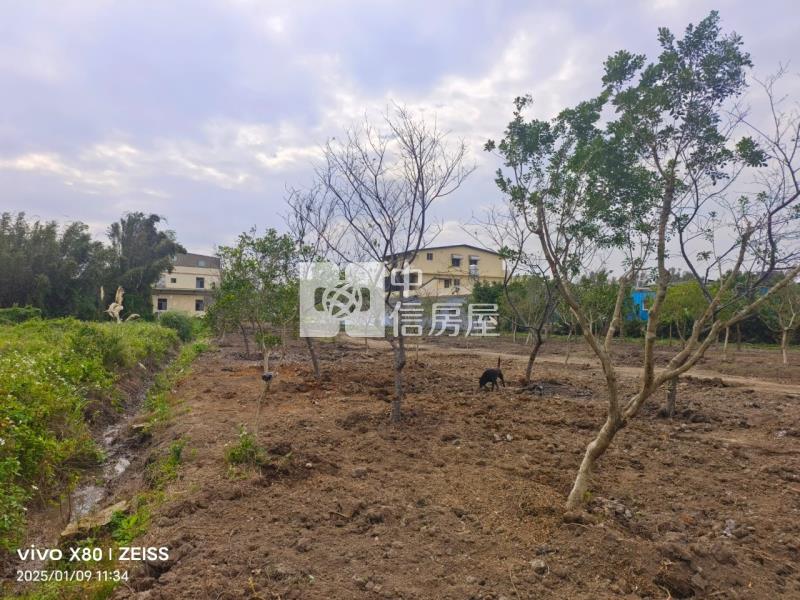 龍岡圓環華隆街農地房屋室內格局與周邊環境