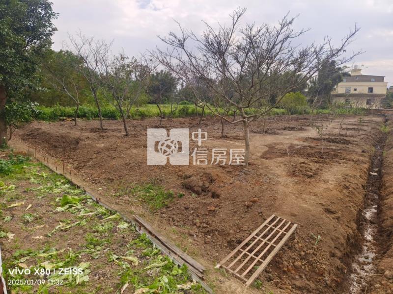 龍岡圓環華隆街農地房屋室內格局與周邊環境
