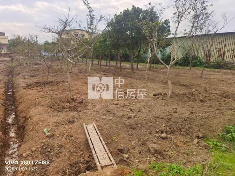 龍岡圓環華隆街農地房屋室內格局與周邊環境