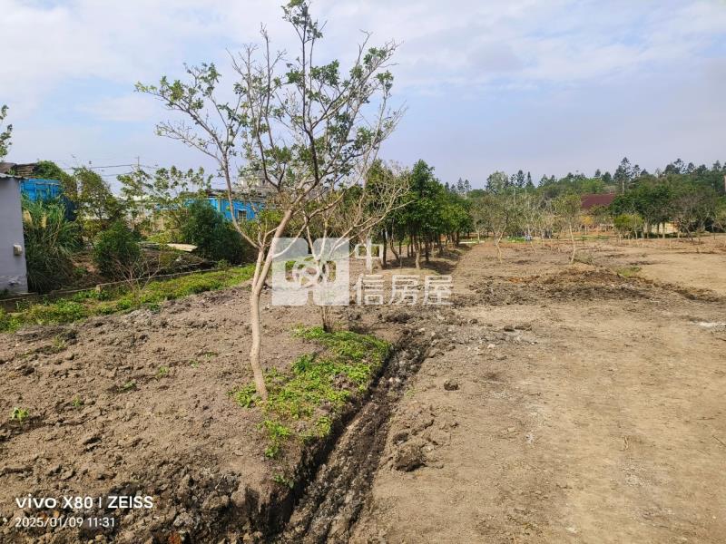 龍岡圓環華隆街農地房屋室內格局與周邊環境