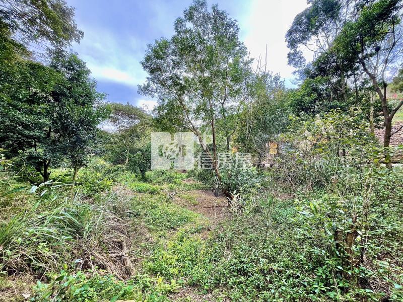 新埔黃梨園清新美農地房屋室內格局與周邊環境