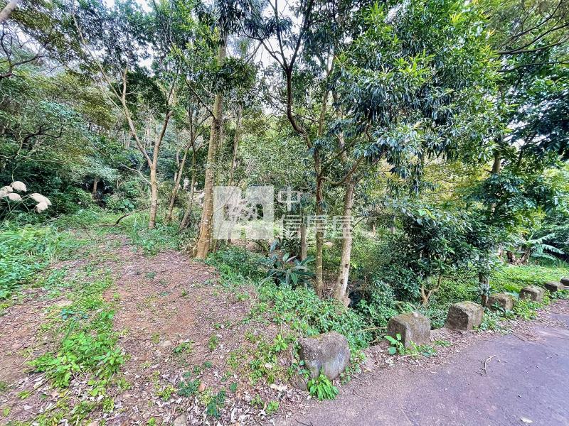 新埔黃梨園清新美農地房屋室內格局與周邊環境