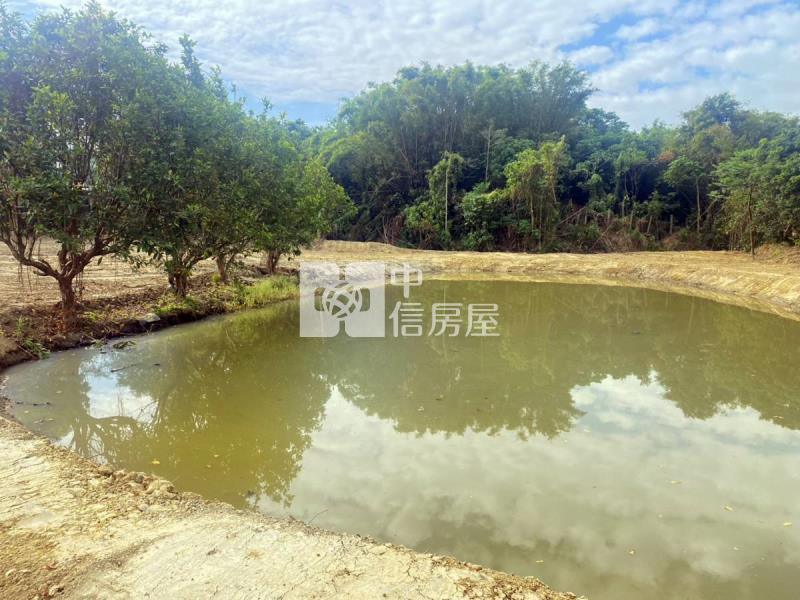 新化五甲勢6.6分農地(含鐵皮屋)房屋室內格局與周邊環境
