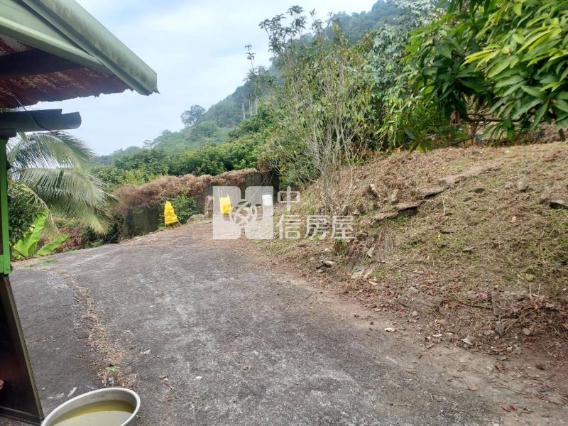 六甲區大丘園段有水電地上權果園地A房屋室內格局與周邊環境