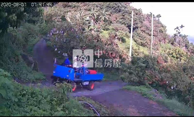 六甲區大丘園段有水電地上權果園地A房屋室內格局與周邊環境