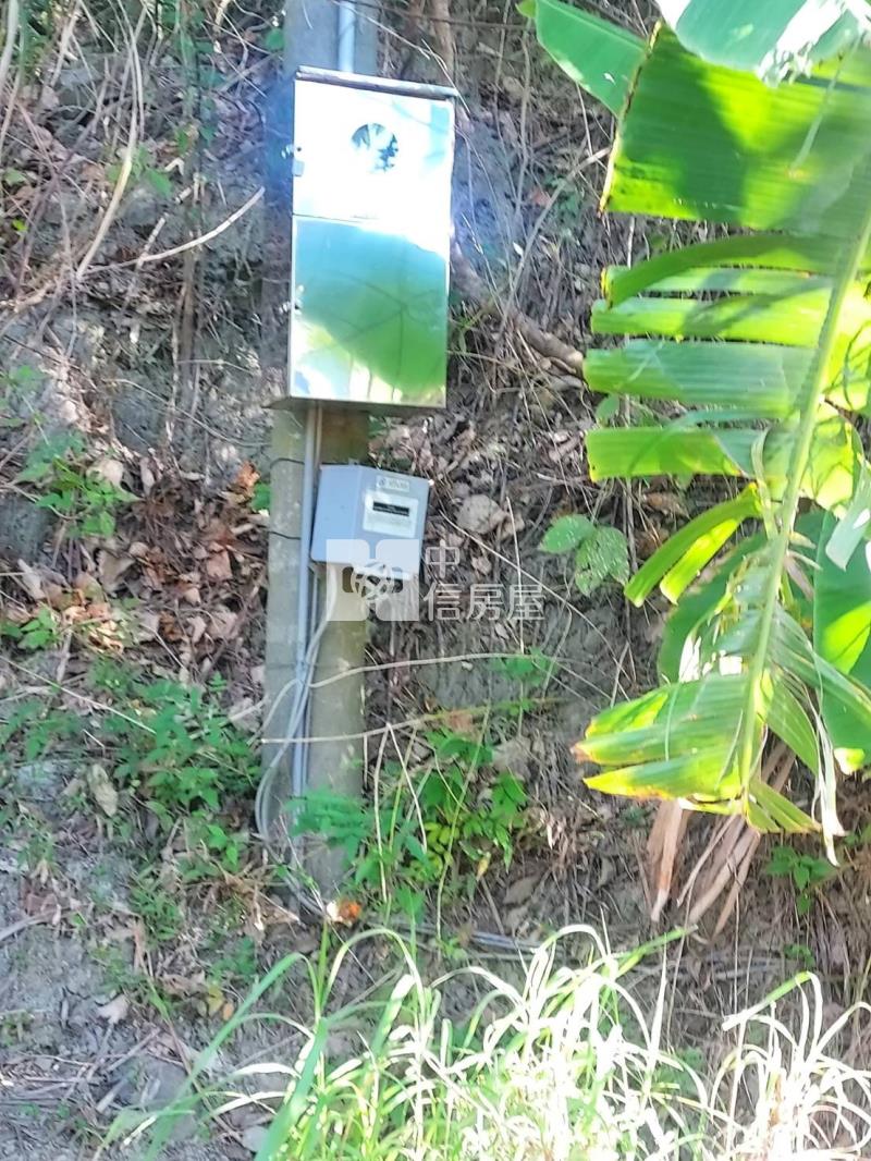 六甲區大丘園段有水電地上權果園地B房屋室內格局與周邊環境