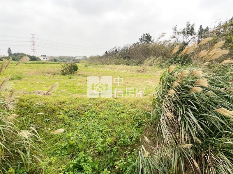 【新世紀】新屋台15一般農房屋室內格局與周邊環境