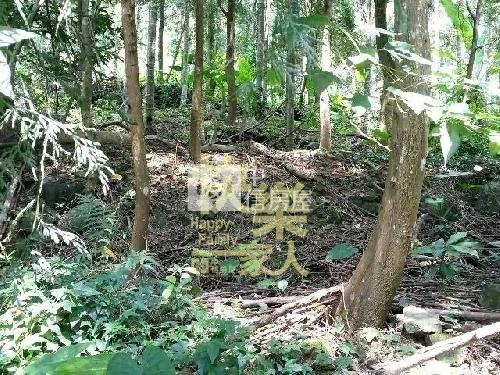 南投國姓北山寺廟精舍用地房屋室內格局與周邊環境