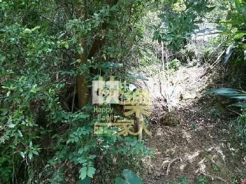 南投國姓北山寺廟精舍用地房屋室內格局與周邊環境
