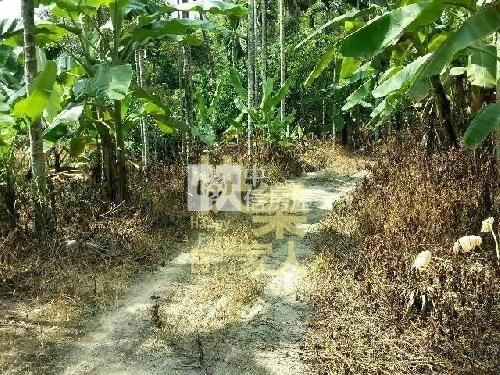 南投國姓北山寺廟精舍用地房屋室內格局與周邊環境
