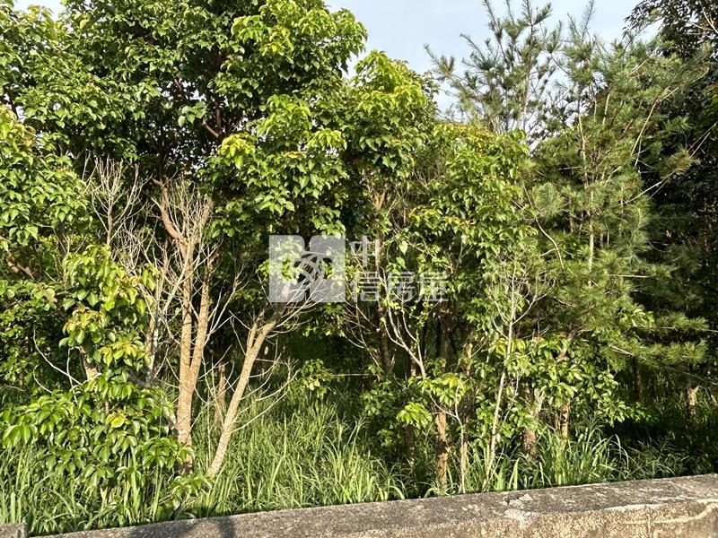 玉井豐里3分有全新資材室之一般農地房屋室內格局與周邊環境
