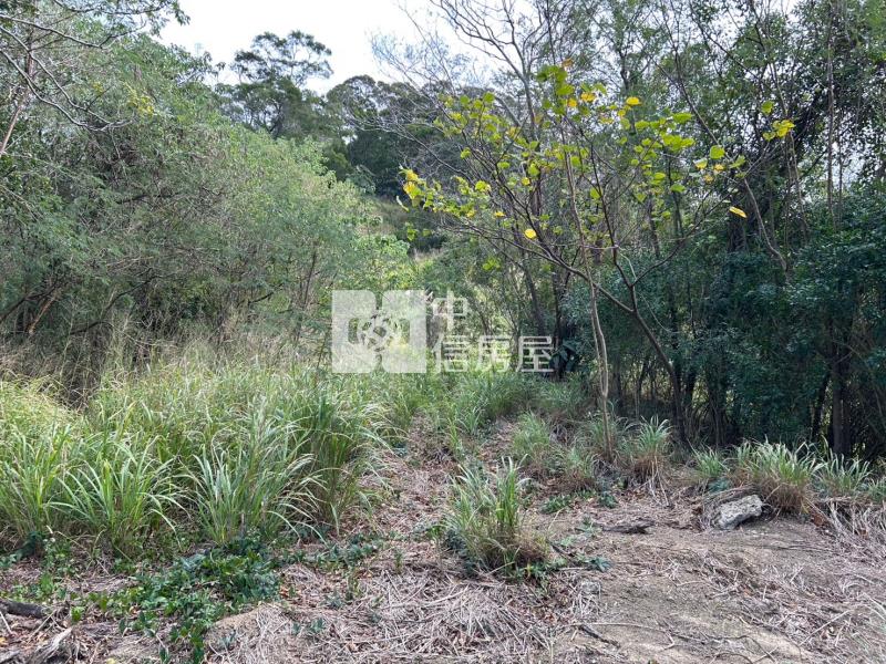 造橋預定交流道旁美地房屋室內格局與周邊環境