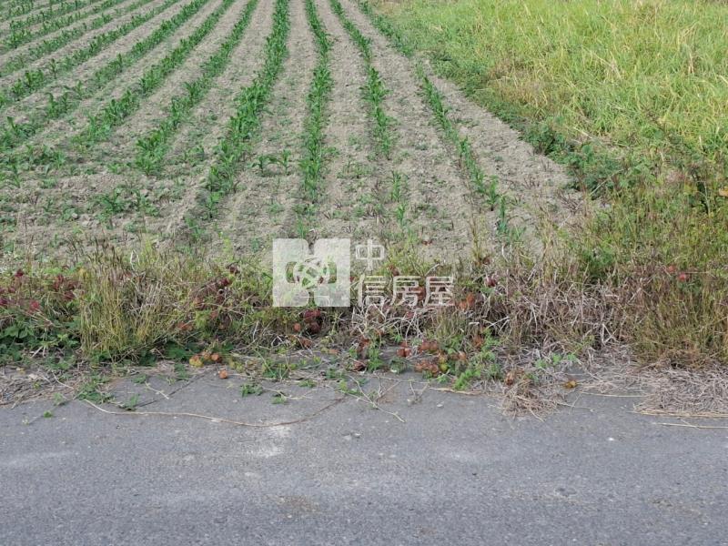 麻豆近市區美農地房屋室內格局與周邊環境