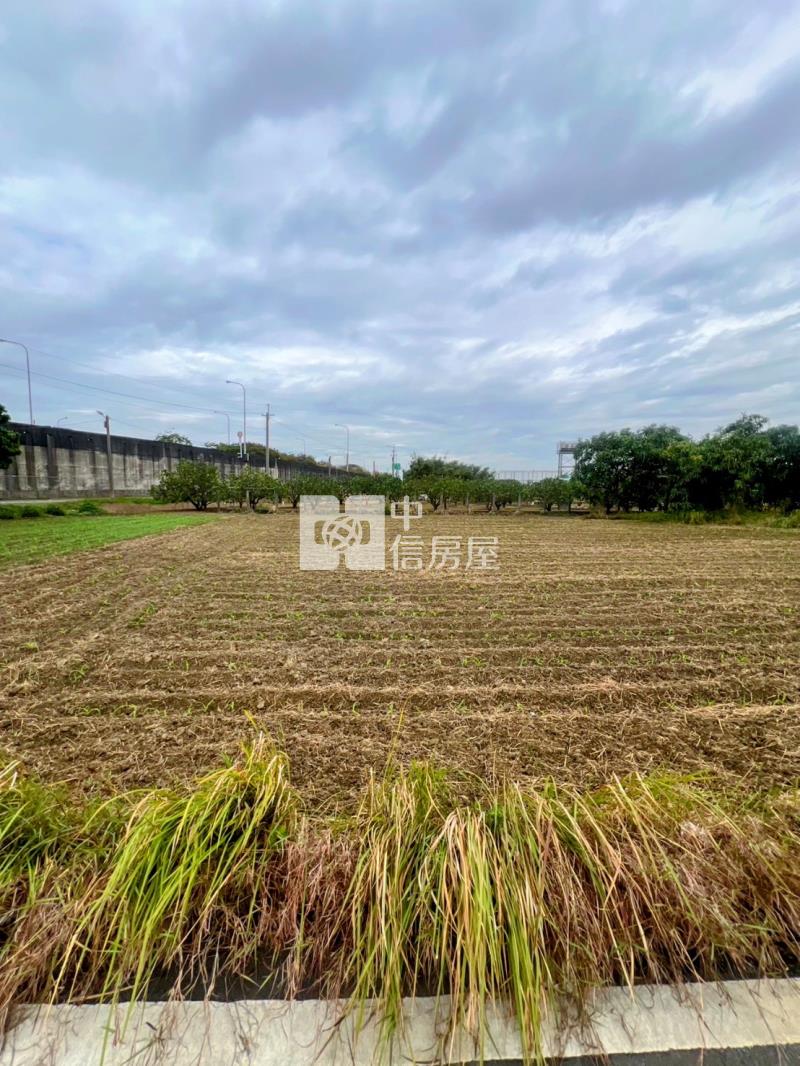 麻豆新樓醫院都內農地房屋室內格局與周邊環境