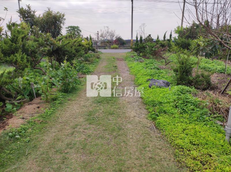 溪州溪下路資材室房屋室內格局與周邊環境