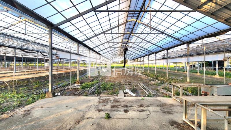 后里泰安車站旁別墅農舍方正地房屋室內格局與周邊環境
