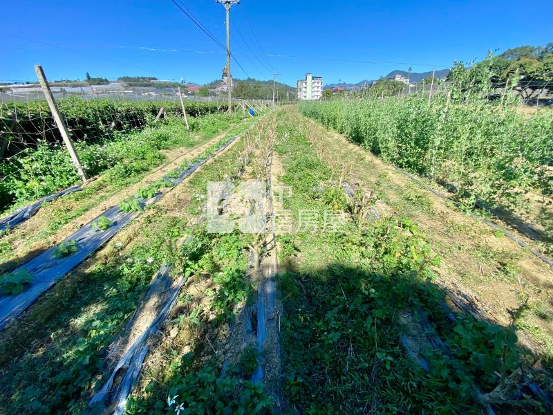 近中台禪寺附農舍大地坪農地房屋室內格局與周邊環境