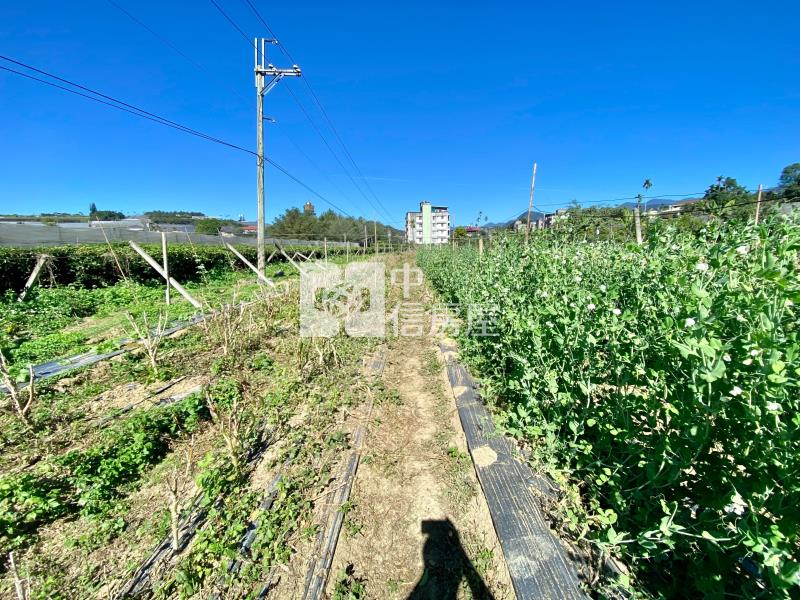 近中台禪寺附農舍大地坪農地房屋室內格局與周邊環境
