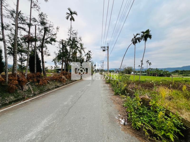 【安家】花蓮新光農場甲建+農地房屋室內格局與周邊環境
