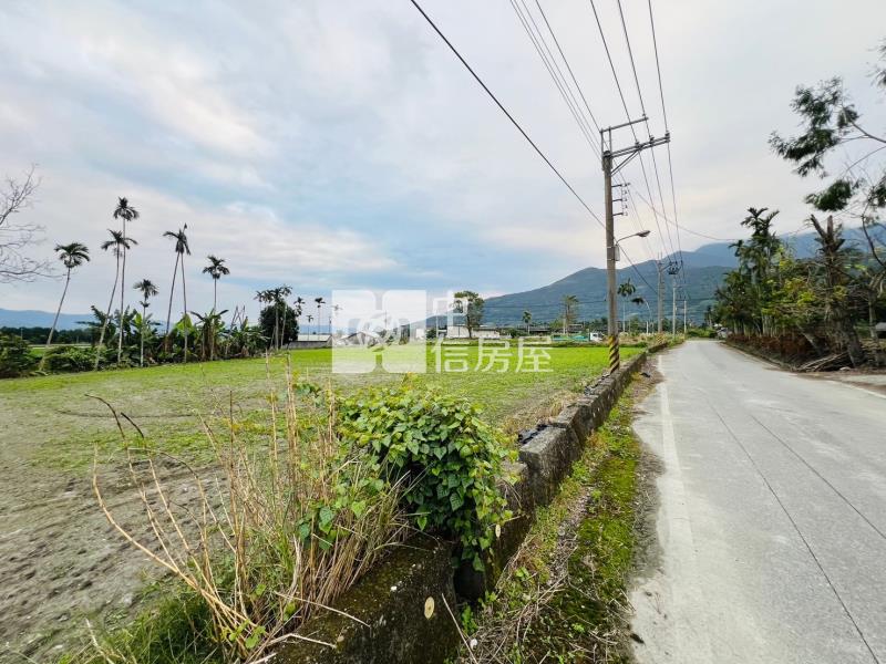 【安家】花蓮新光農場甲建+農地房屋室內格局與周邊環境
