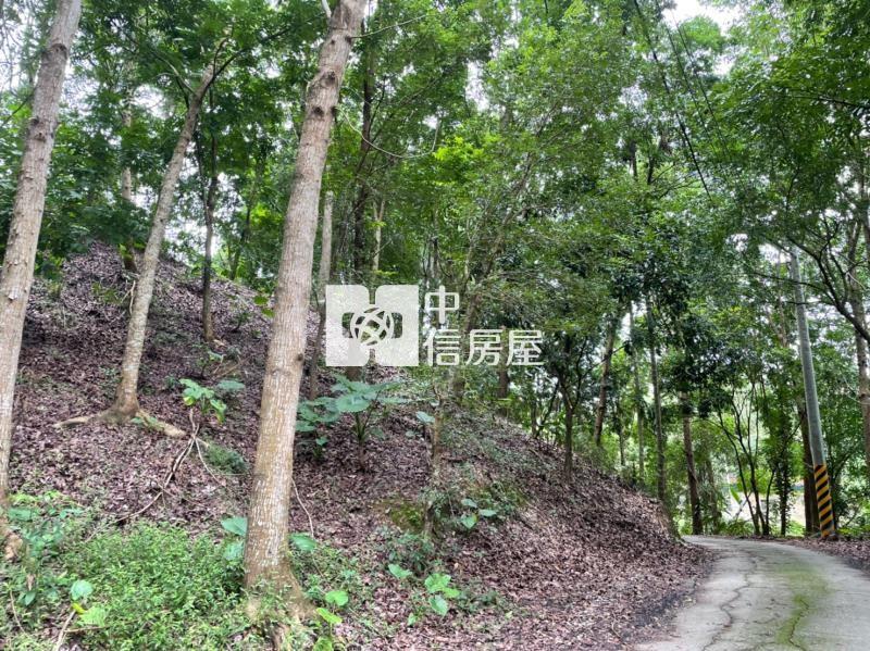 梅山森呼吸2甲俗俗賣房屋室內格局與周邊環境