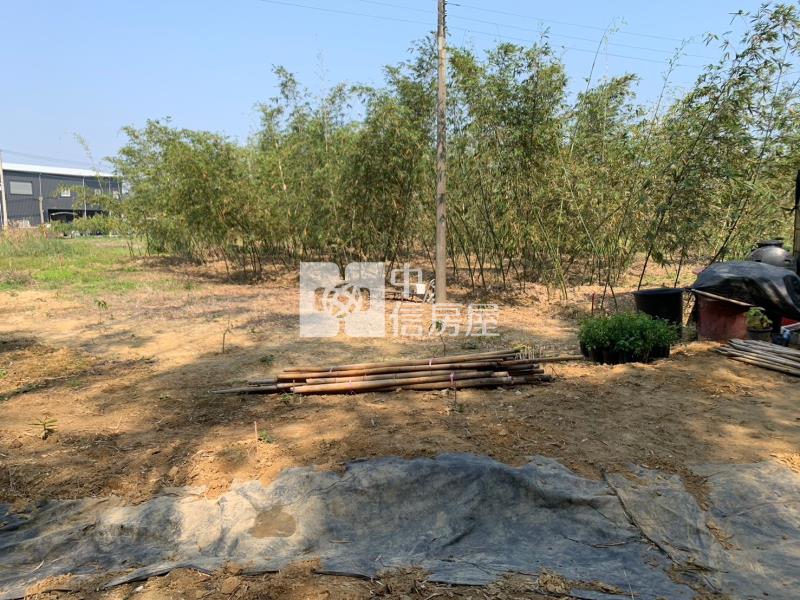 關廟新埔有水有電一般農地房屋室內格局與周邊環境