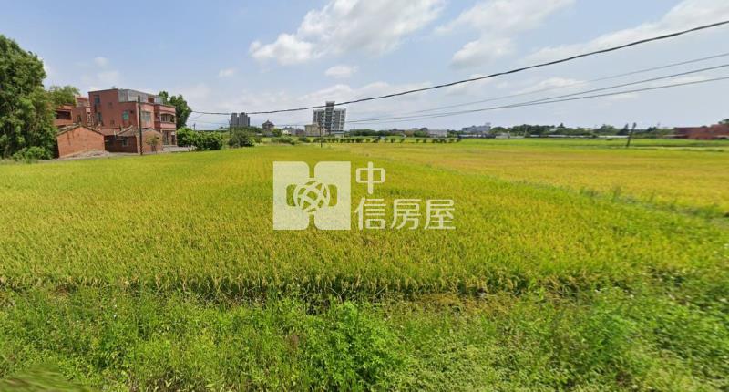 【豐禾】青埔高鐵特區旁美農地房屋室內格局與周邊環境